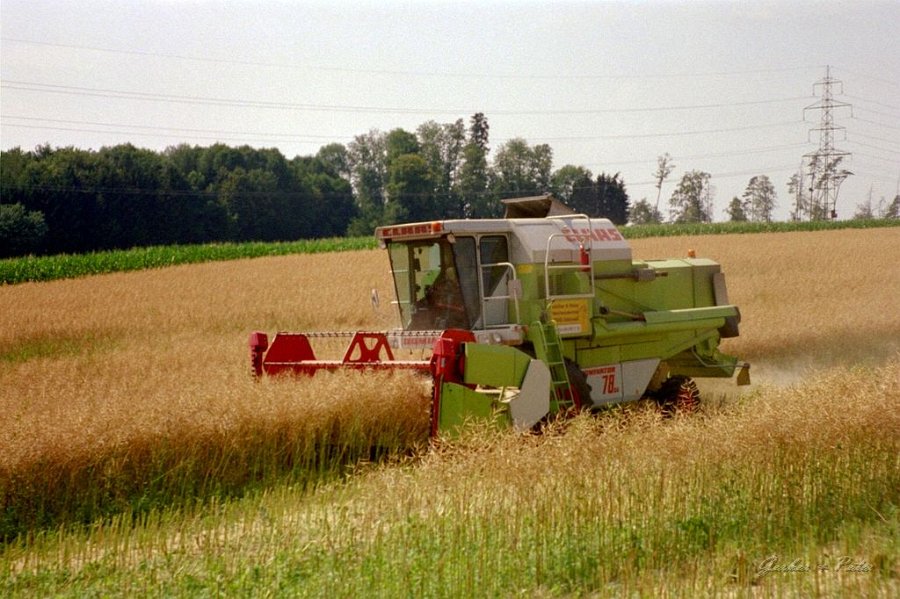 Claas Drescher 33